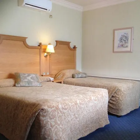 アービュートゥス キラーニー