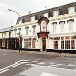 Arbutus Killarney